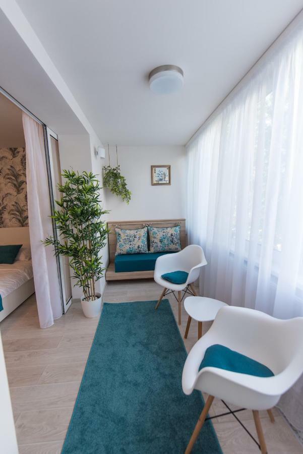 Exotic Rami'S Apartments ティミショアラ エクステリア 写真