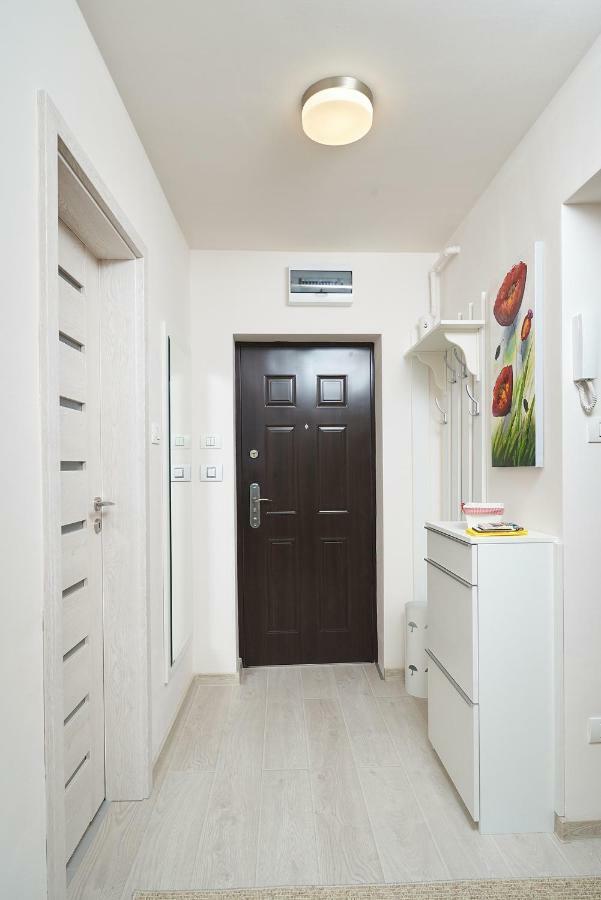 Exotic Rami'S Apartments ティミショアラ エクステリア 写真